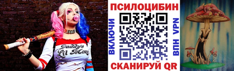Псилоцибиновые грибы мицелий Певек