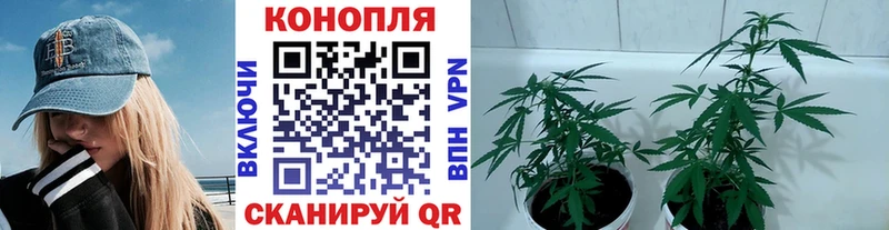 Бошки Шишки LSD WEED  наркотики  shop состав  Певек 